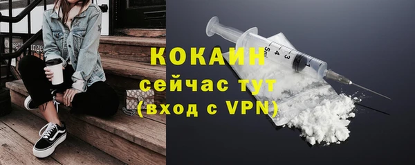 амф Бородино