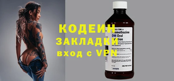 амф Бородино