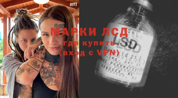 амф Бородино