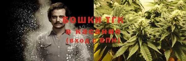 твердый Бронницы