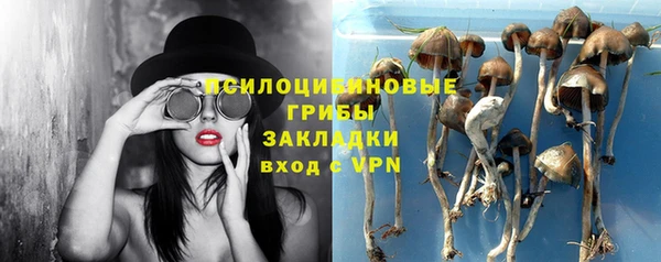 амф Бородино