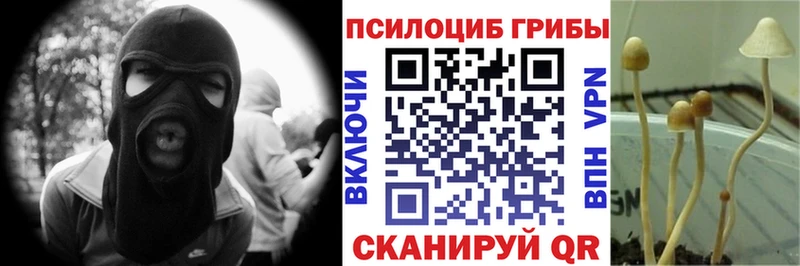 Псилоцибиновые грибы MAGIC MUSHROOMS  kraken зеркало  Кинель 
